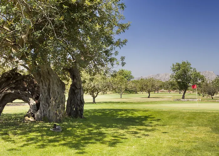 Marriott La Sella Golf & Hotel